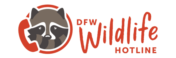 DFW Wildlife Coalition | Hotline for Wildlife in DFW logo