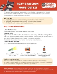 Roxy's Raccoon Move Out Kit Updated